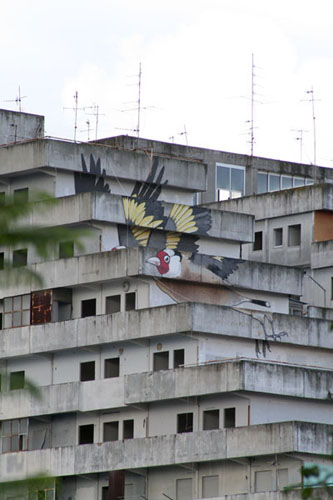 Graffito di un'aquila in apertura d'ali sulla facciata di un fabbricato alle Vele di Scampia