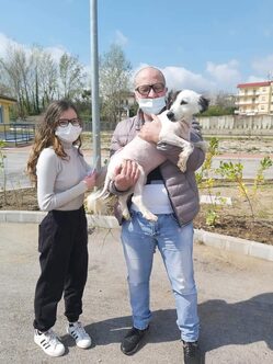 Foto di un cane