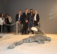 Inaugurata al Maschio Angioino l'opera d'arte contemporanea "Lacrime di coccodrillo"
