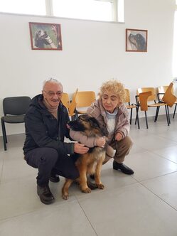 Foto di un cane